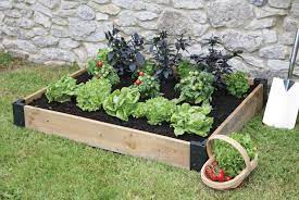 Creating an Edible Garden 